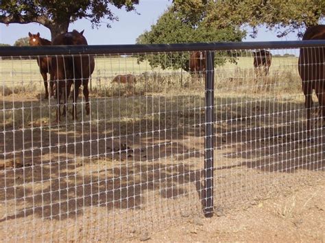 2 <b>x 4 Woven Horse Fence</b> Details KIWI Woven 13/48/2 Class III 12. . 60 inch no climb horse fence